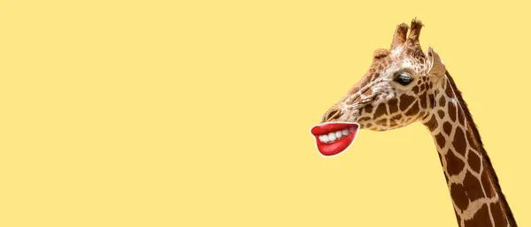 黄色背景上有红唇的有趣长颈鹿 有文字空间 — 图库照片