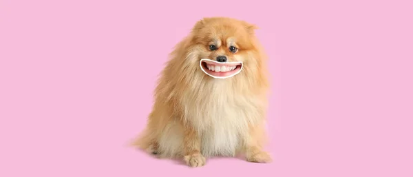 Roztomilý Usměvavý Pes Lidskými Rty Růžovém Pozadí — Stock fotografie