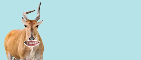 Carino Antilope Con Labbra Umane Sfondo Azzurro Con Spazio Testo — Foto Stock