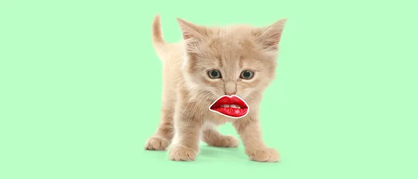 Αστείο Γατάκι Κόκκινα Ανθρώπινα Χείλη Πράσινο Φόντο — Φωτογραφία Αρχείου