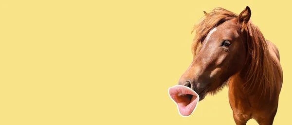 Słodki Koń Różowymi Ustami Żółtym Tle Miejscem Tekst — Zdjęcie stockowe