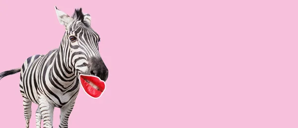 Lustiges Zebra Mit Roten Lippen Auf Rosa Hintergrund Mit Platz — Stockfoto
