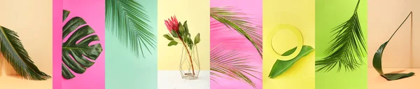 Κολάζ Από Φρέσκα Τροπικά Φύλλα Και Λουλούδια Στο Φόντο Χρώμα — Φωτογραφία Αρχείου