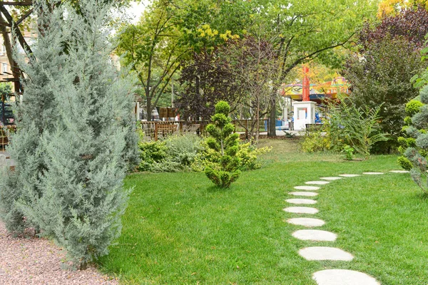 緑の茂み 芝生とパスを持つ美しい公園 — ストック写真