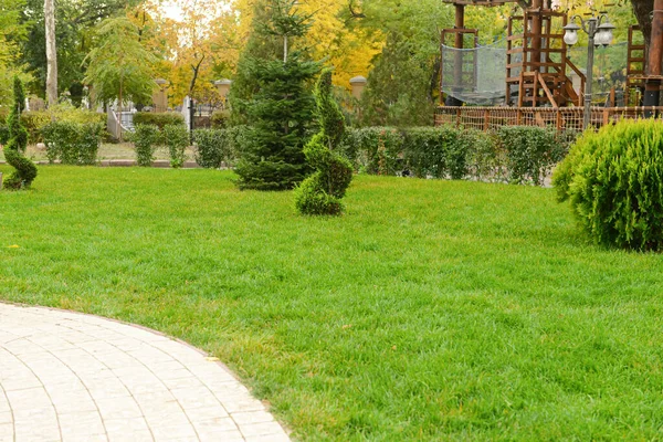 Gyönyörű Gyep Zöld Bokrokkal Városi Parkban — Stock Fotó
