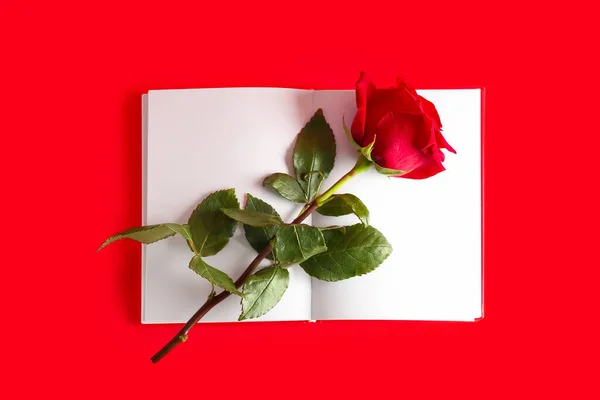 Άνοιγμα Σημειωματάριο Και Τριαντάφυλλο Λουλούδι Στο Φόντο Χρώμα — Φωτογραφία Αρχείου