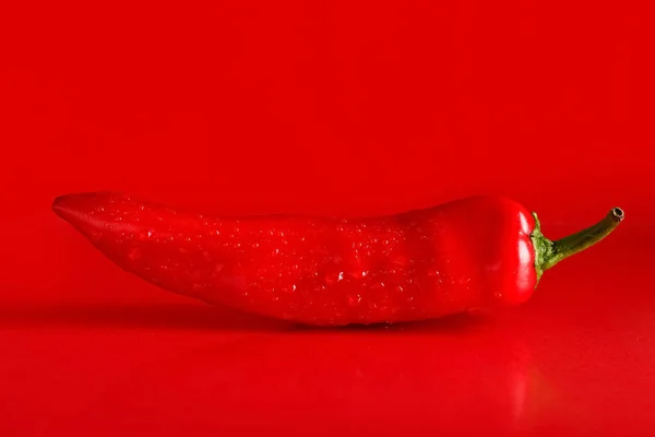 Pimienta Fresca Sobre Fondo Rojo — Foto de Stock