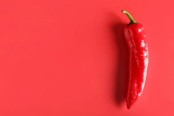 Fresh Chili Pepper Red Background — Stock Photo, Image
