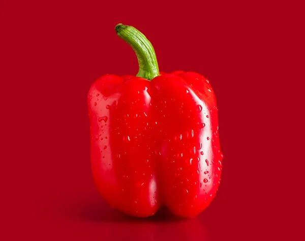 Fresh Bell Pepper Color Background — Stock Photo, Image