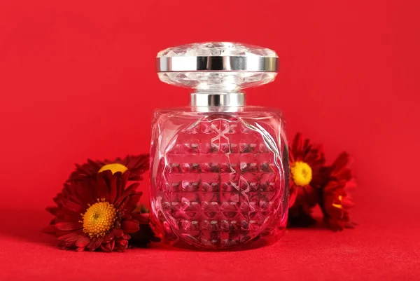 Bottle Perfume Chrysanthemum Flowers Red Background — Stock Photo, Image