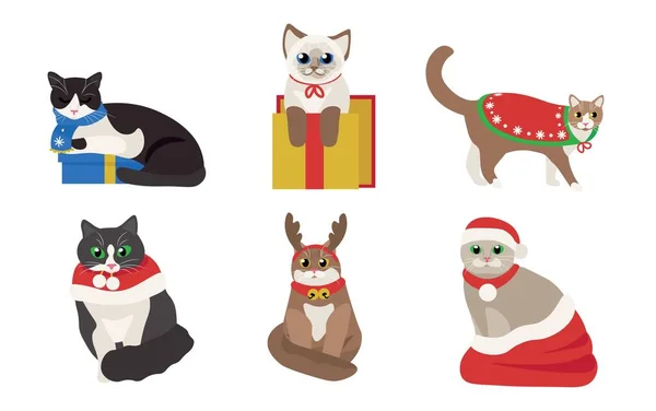 Ensemble Chats Mignons Costumes Noël Avec Des Cadeaux Sur Fond — Image vectorielle