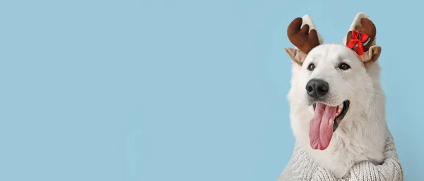 Cute White Dog Wearing Deer Horns Light Blue Background Space — Stock Photo, Image