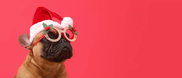可爱的法国斗牛犬 头戴圣诞帽 戴着红色背景的圣诞眼镜 上面有文字空间 — 图库照片