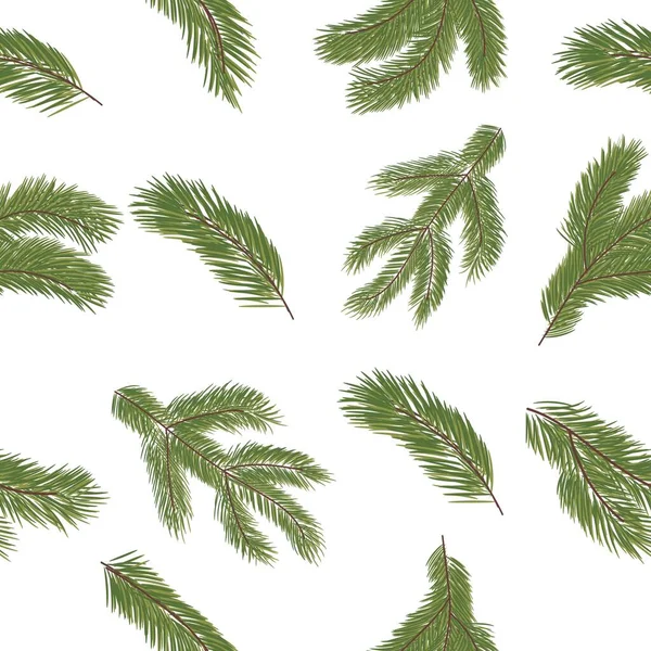 Fir Tree Branches White Background Pattern Design — Stock Vector