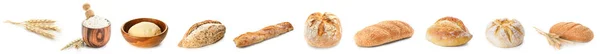 Sammlung Von Knusprigen Brotlaiben Mit Weizenspießen Frischem Mehl Und Teig — Stockfoto