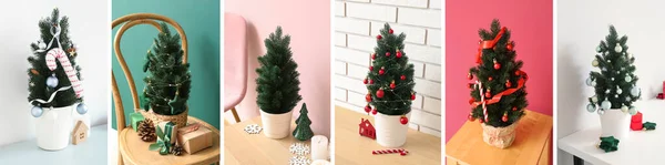 Collage Con Molti Alberi Natale All Interno Della Stanza — Foto Stock