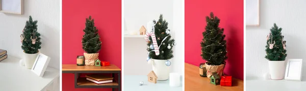 Collage Many Christmas Trees Room Interior — Stock Photo, Image