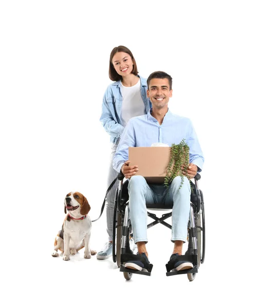 若いです女性と彼女の夫車椅子で 白い背景に移動ボックスと犬 — ストック写真