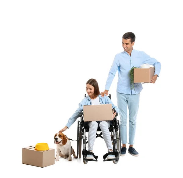 Mladý Muž Svou Ženou Invalidním Vozíku Pohybující Krabice Pes Bílém — Stock fotografie