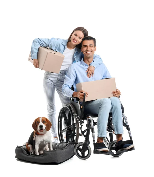 年轻妇女 丈夫坐在轮椅上 带着白色背景的移动箱子和狗 — 图库照片