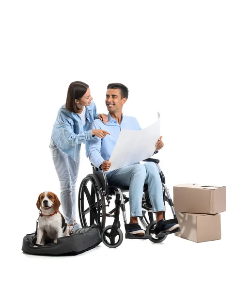 年轻妇女 丈夫坐在轮椅上 有房子计划 有活动箱 有白色背景的狗 — 图库照片