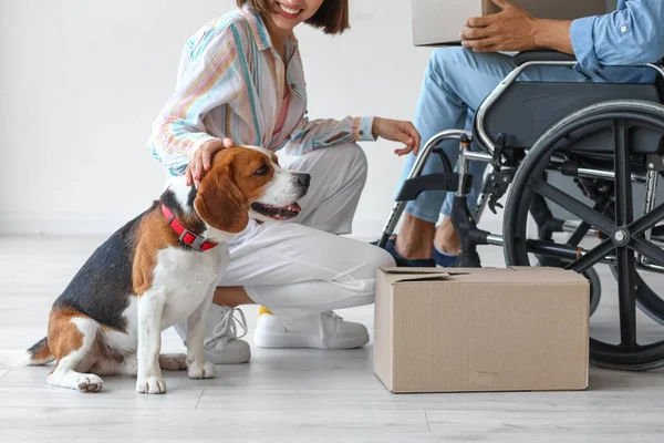 Young Woman Dog Her Husband Wheelchair New Flat Moving Day — Stock Photo, Image