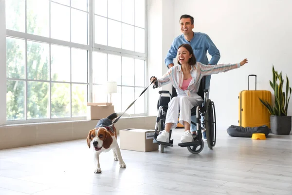 一个快乐的年轻人在搬家的那天带着他的妻子和狗坐在轮椅上 — 图库照片