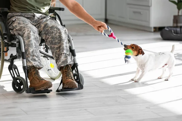 Junger Soldat Rollstuhl Spielt Hause Mit Hund — Stockfoto