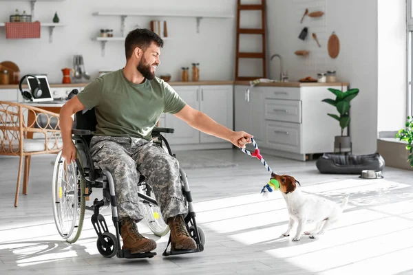 Νεαρός Στρατιώτης Αναπηρική Καρέκλα Παίζει Σκυλί Στο Σπίτι — Φωτογραφία Αρχείου