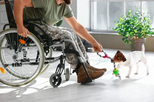 Νεαρός Στρατιώτης Αναπηρική Καρέκλα Παίζει Σκυλί Στο Σπίτι — Φωτογραφία Αρχείου