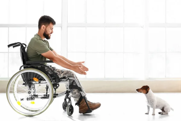 Νεαρός Στρατιώτης Αναπηρική Καρέκλα Σκύλο Στο Σπίτι — Φωτογραφία Αρχείου