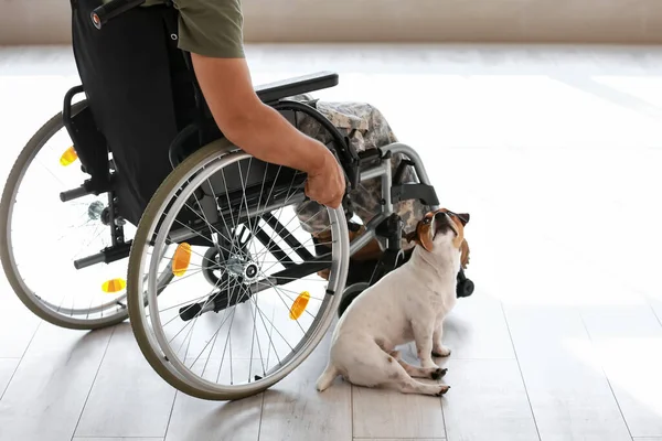 Νεαρός Στρατιώτης Αναπηρική Καρέκλα Σκύλο Στο Σπίτι — Φωτογραφία Αρχείου