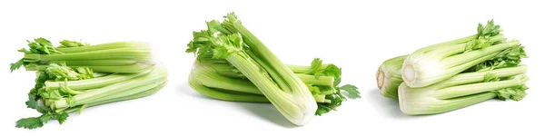 Collage Fresh Celery White Background — Stock Photo, Image