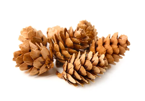 Heap Pine Cones White Background — Stock Photo, Image