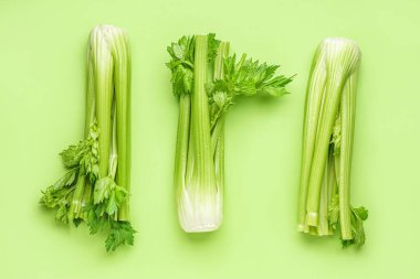 Yeşil arka planda taze kereviz demetleri