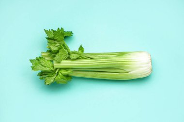 Renkli arkaplanda bir demet taze kereviz