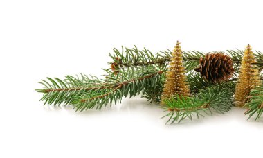 Yılbaşı ağaçları ve beyaz arka planda koni olan Firavun dalları