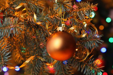 Köknar ağacında portakal rengi Noel balosu, yakın plan.