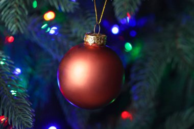 Geceleri köknar ağacında kırmızı Noel balosu, yakın plan.