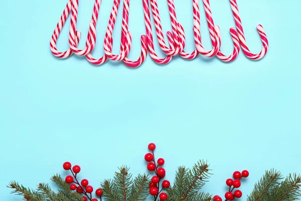 Composition Sweet Candy Canes Fir Branches Cranberry Color Background — Stock Photo, Image