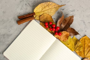 Boş defter, sonbahar yaprakları, grunge arkaplanda böğürtlen ve tarçın içeren kompozisyon, yakın plan