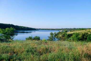Güzel çim ve nehir manzarası