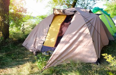 Güneşli bir günde ormandaki turistik çadır