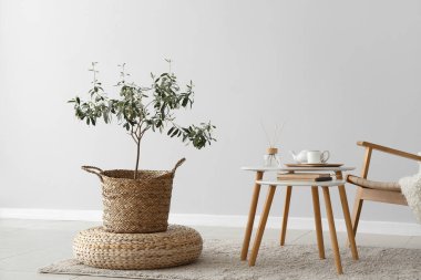 İçinde zeytin ağacı, masa ve koltuk olan bir oturma odası.