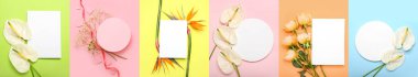 Boş kartlı kolaj ve renkli arkaplanda güzel çiçekler