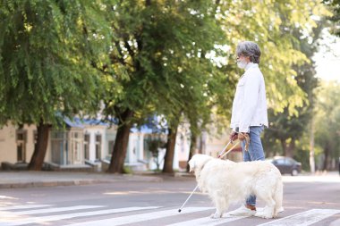 Şehirdeki rehber köpeği olan yaşlı kör adam.
