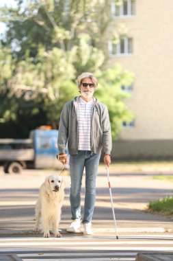 Şehirdeki rehber köpeği olan yaşlı kör adam.