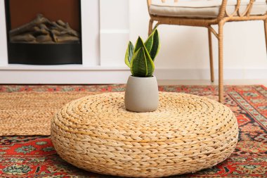 Hasır pouf 'taki ev bitkisi