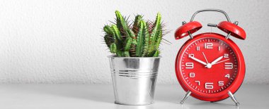 Kaktüslü tencere ve ışık arkaplan üzerinde kırmızı alarm saati metin için alanı olan