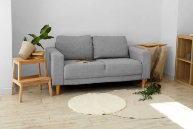 Gri kanepesi ve düşmüş çiçekleri olan dağınık oturma odasının içinde.